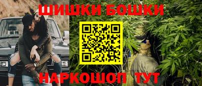 ешки Новодвинск