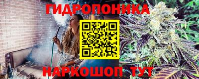 не бодяженный Новозыбков