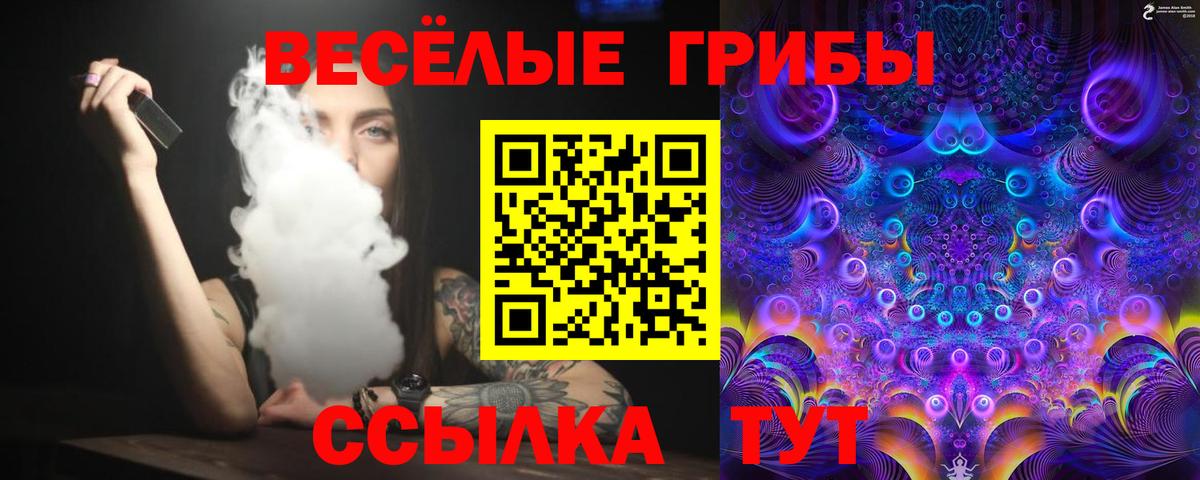 Саратов  даркнет сайт  Галлюциногенные грибы мицелий  Вход с VPN  Псилоцибиновые грибы прущие грибы 
